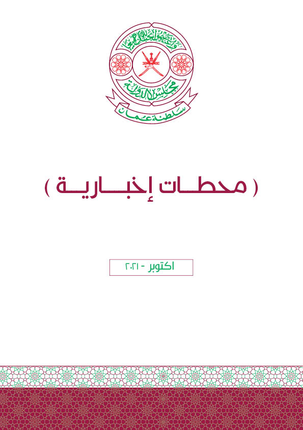 محطات إخبارية